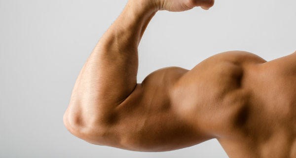 پروتئین عضله ساز چیست
